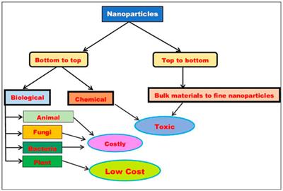 Photocatalytic Activity Induced by Metal Nanoparticles Synthesized by Sustainable Approaches: A Comprehensive Review